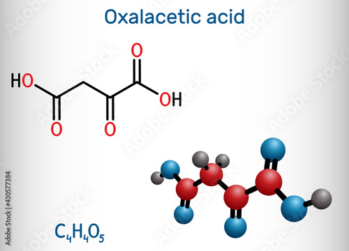 Oxaloacetic acid, oxalacetic acid, OAA, oxaloacetate molecule. It is oxodicarboxylic acid,  metabolic intermediate. Structural chemical formula, molecule model. Vector illustration