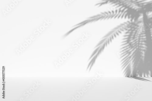 White wall and floor with palm shadow and copy-space