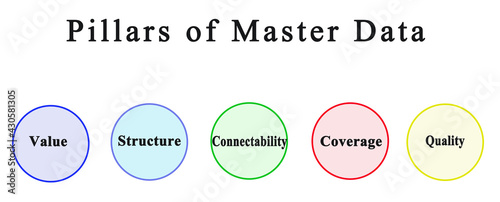 Five Pillars of Master Data