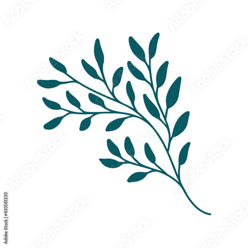 Sprig on a white background. Nature doodle. Isolated vector illustration with green leaves. Leaves are a separate element.