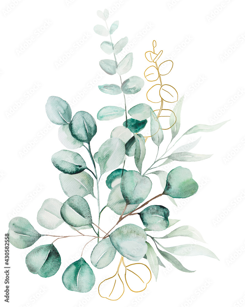 Watercolor eucaliptus leaves bouquet illustration Watercolor eucaliptus leaves bouquet illustration