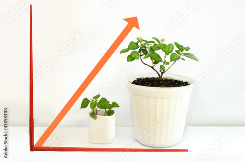 Up arrow graph. The concept of economic and financial growth, investment photo
