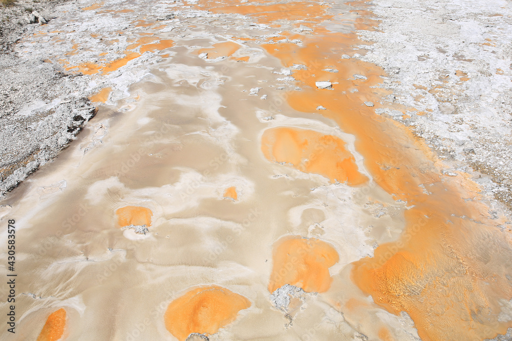 Naklejka premium Hot spring in Yellowstone National Park, Wyoming, USA