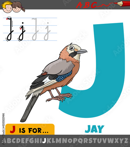 letter E from alphabet with cartoon jay bird animal character