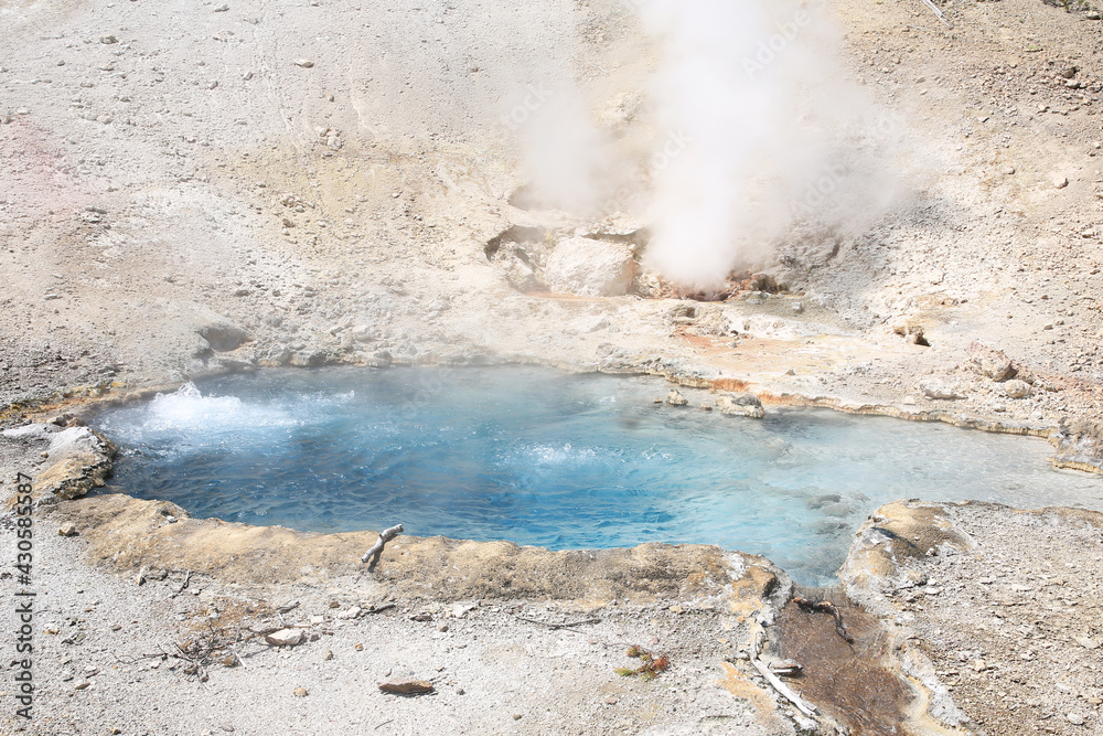 Geyser in Yellowstone National Park, Wyoming, USA