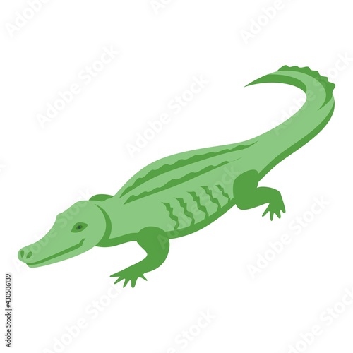 Carnivore crocodile icon. Isometric of Carnivore crocodile vector icon for web design isolated on white background