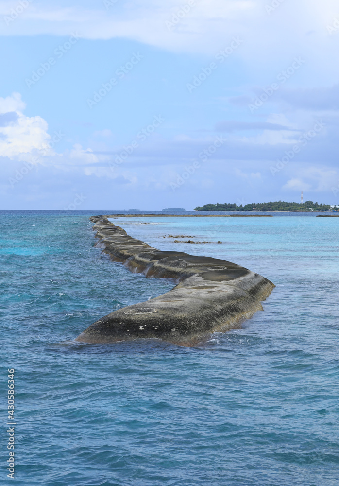 Obraz premium coast of palm tropical island, Maldives