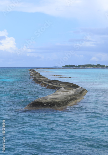 coast of palm tropical island  Maldives