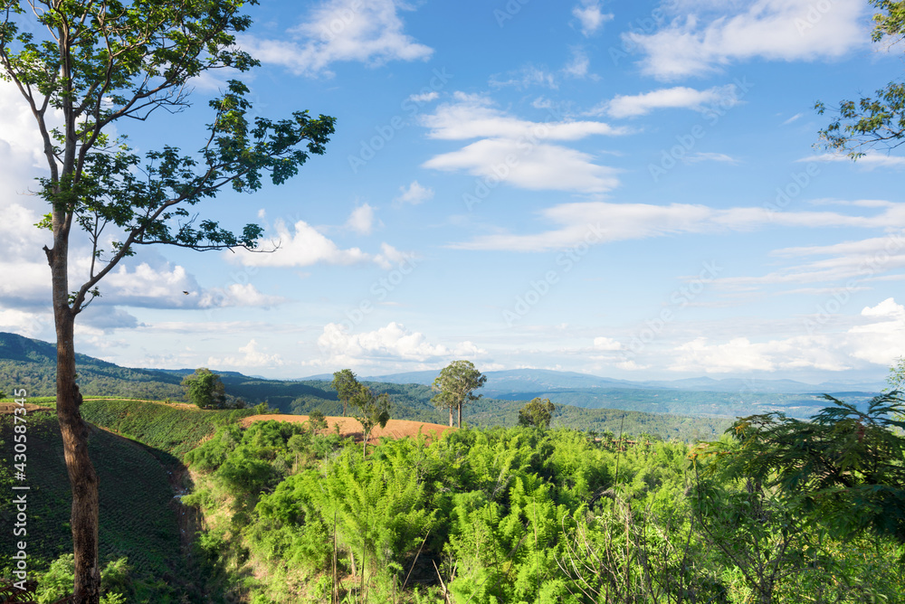 Fototapeta premium panorama of beautiful countryside of Phu Ruea, Loei,Thailand, sunny afternoon. wonderful springtime landscape in mountains. grassy field and rolling hills. rural scenery.