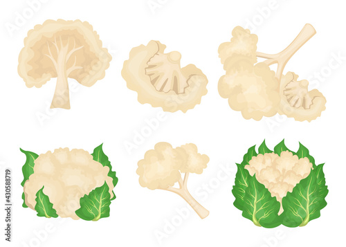 Cartoon cauliflower vector illustrations set. Whole cabbage with leaves, pieces of healthy vegetable isolated on white background. Organic food, vegetables, health concept