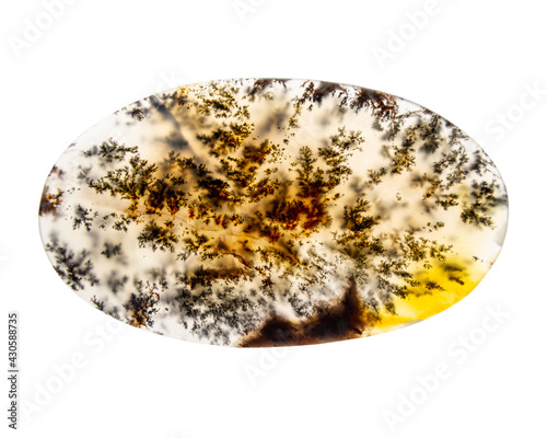 Fotografie oval cabochon of moss agate isolated on a white background