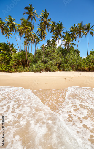 Tropical sandy beach on a sunny summer day.