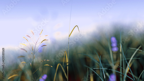 Lavender and grass in the wind 3d beautiful depth of field clean 4k background