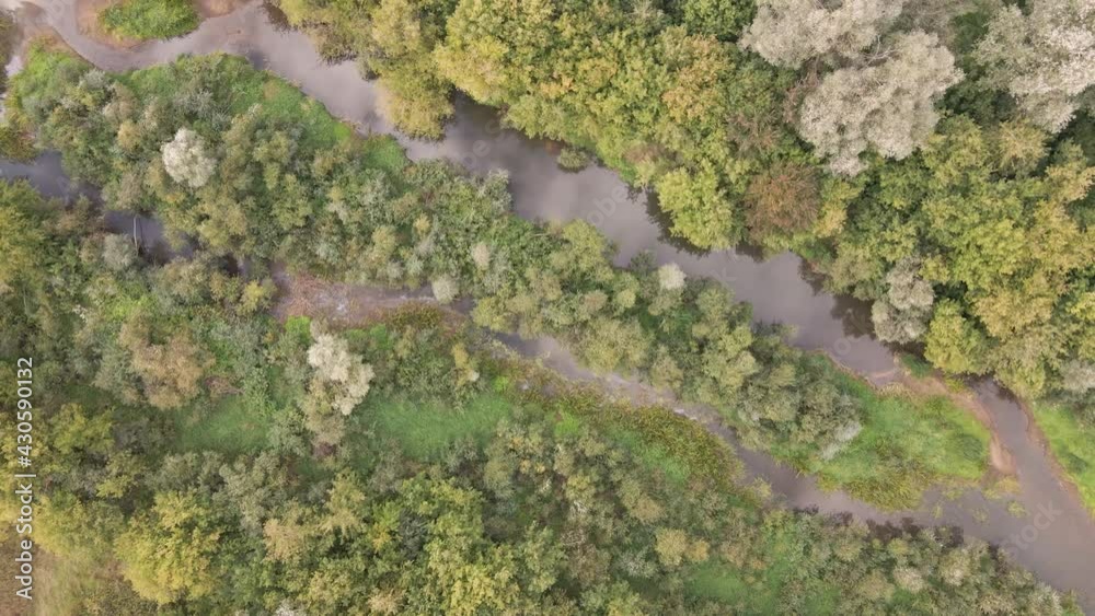 Aerial view of a branched river and dense green trees. A dirt road runs along the edge of the wooded area. The water surface reflects the sky and clouds. Aerial view of a branched river and dense green trees. A dirt road runs along the edge of the wooded area. The water surface reflects the sky and clouds.