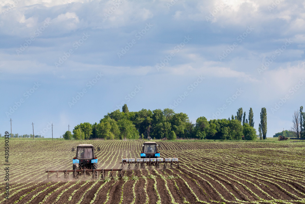 Fototapeta premium field work in agriculture. farmer's tractor harrows the field after planting seeds. tractor and seeder planting crops on a field.