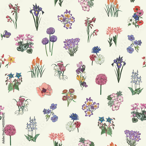 Flowers meadow nature vector seamless pattern