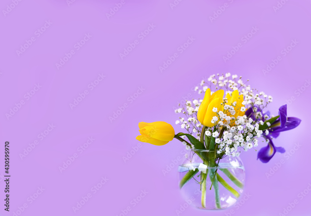 Beautiful bouquet of yellow tulips, iris and baby's-breath in round glass bowl on violet background.