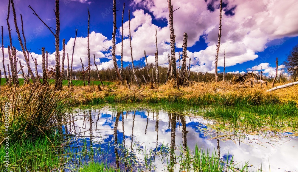 Reflection on the water