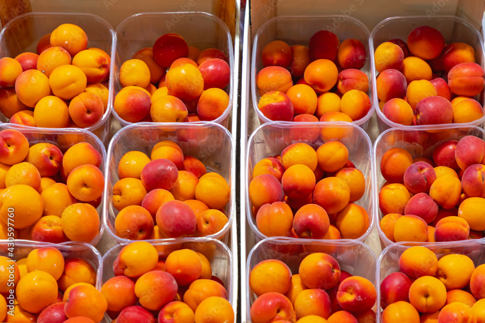 Apricots in Trays Apricots in Trays