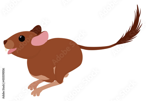 Degu squirrel rodent pet. Vector cartoon running animal Illustration isolated on white.