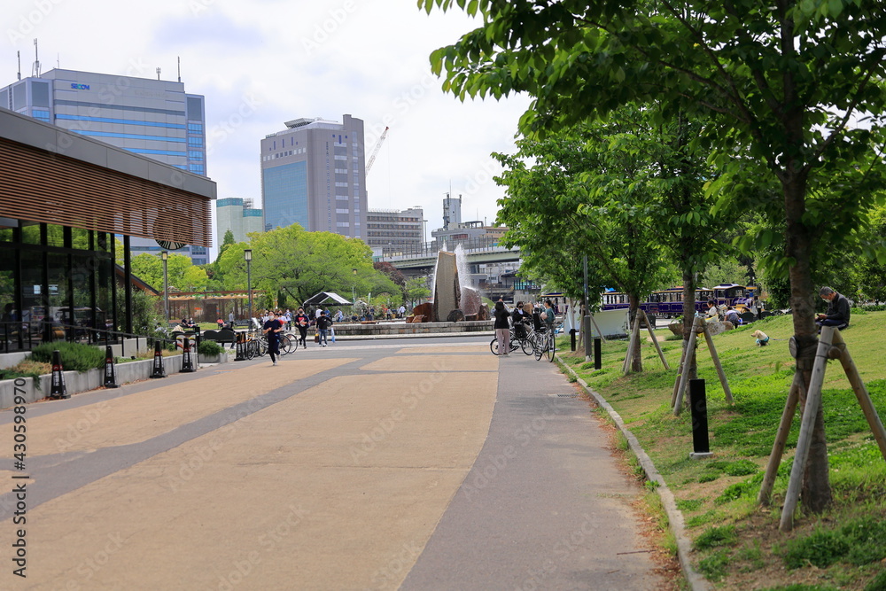 Fototapeta premium 大阪城公園 大阪 日本
