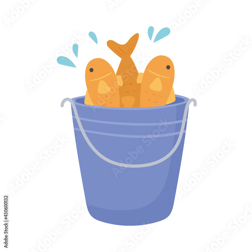 fishes on bucket