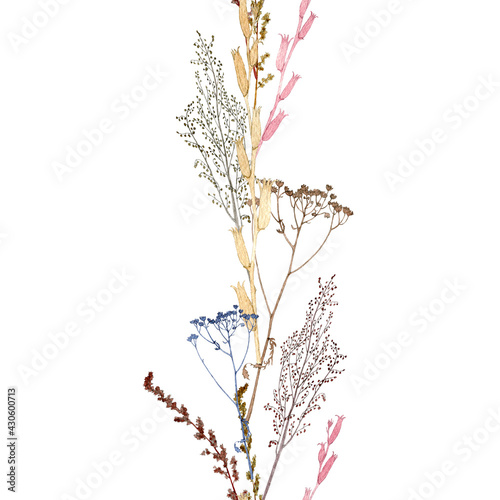 Seamless vertical border dry wild flower branches. Pattern from a watercolor herbarium. Design for packaging, duct tape, scotch tape, fabric, paper, frame, wallpaper, textiles. Hand drawing.