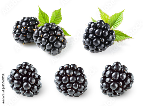 Blackberry. Blackberries isolated. Blackberry set with leaves on white background.