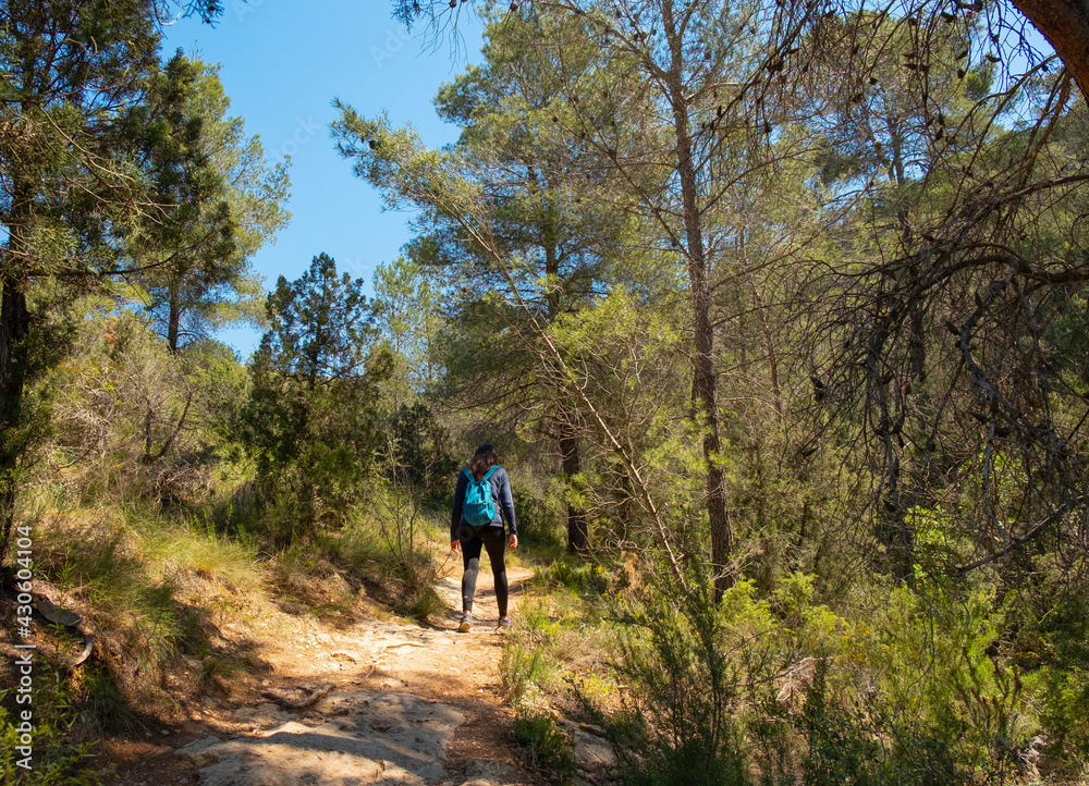 
Hiking route in a town in the province of Valencia, nature on a sunny day.