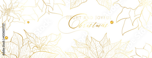 Christmas Golden Poinsettia social network white head banner