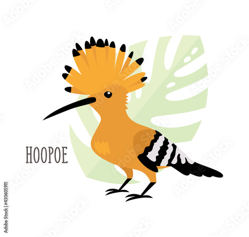 Vector cartoon tropical bird isolated on white background, hoopoe. Bird sticker. Flat illustration.