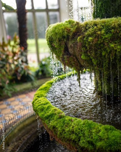 mossy fountain