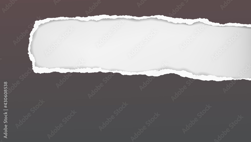 Oblong hole composition in dark grey paper with torn edges and soft shadow is on white background. Vector illustration