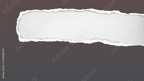 Oblong hole composition in dark grey paper with torn edges and soft shadow is on white background. Vector illustration