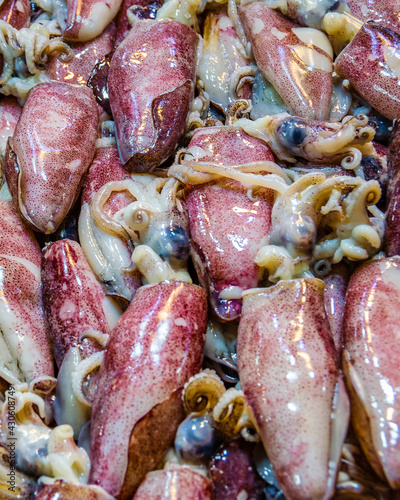 Squids on Sale, Dimotiki Agora Market, Athens photo