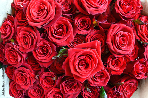 Big bouquet of fresh red roses. Beutiful background for post card #430608794