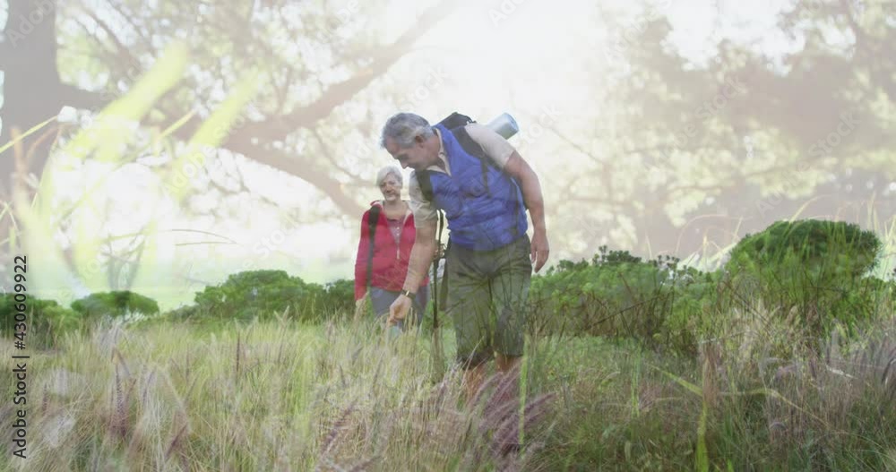 Happy caucasian senior couple hiking, stopping to touch plants, over trees and sunlight Happy caucasian senior couple hiking, stopping to touch plants, over trees and sunlight