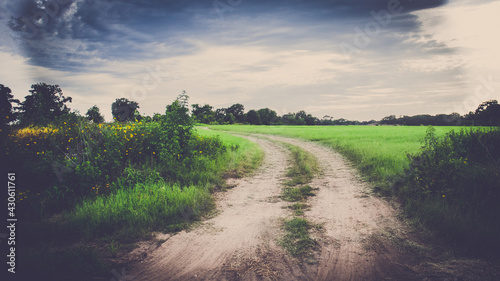 rural road in the country