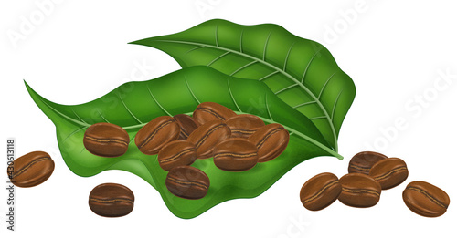 Roasted coffee beans with fresh coffee tree leaves isolated on white background. Vector illustration.