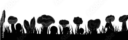 Mushrooms silhouette set
