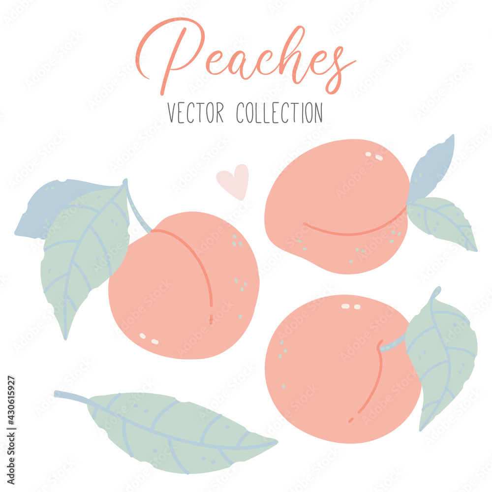 vector collection with peaches, leaves and heart