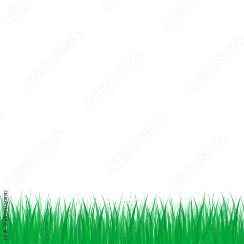 Grass Border White Background, Vector, Illustration