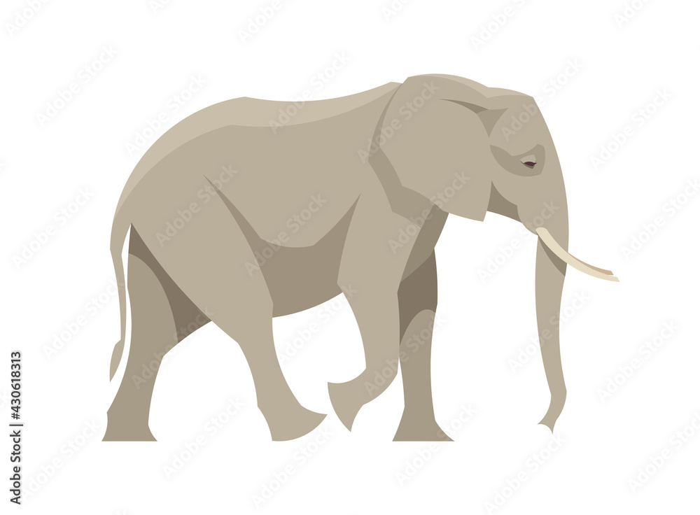 Flat african elephant. Vector illustration