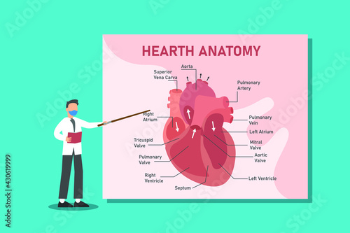 Heart anatomy vector concept: Male doctor showing heart anatomy while wearing face mask