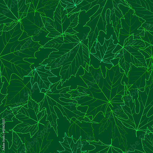 Seamless leafy background in green colors. Beautiful spring pattern with the image of the contours of the leaves. For printing on textiles, wallpaper, wrapping paper, postcards, banners, posters, etc.