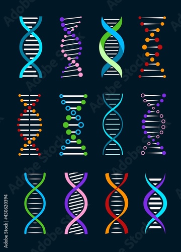 DNA helix isolated vector icons of genetics and biotechnology science. Spiral strands of gene legacy, double helix of human DNA molecule with colorful chromosomes and atoms