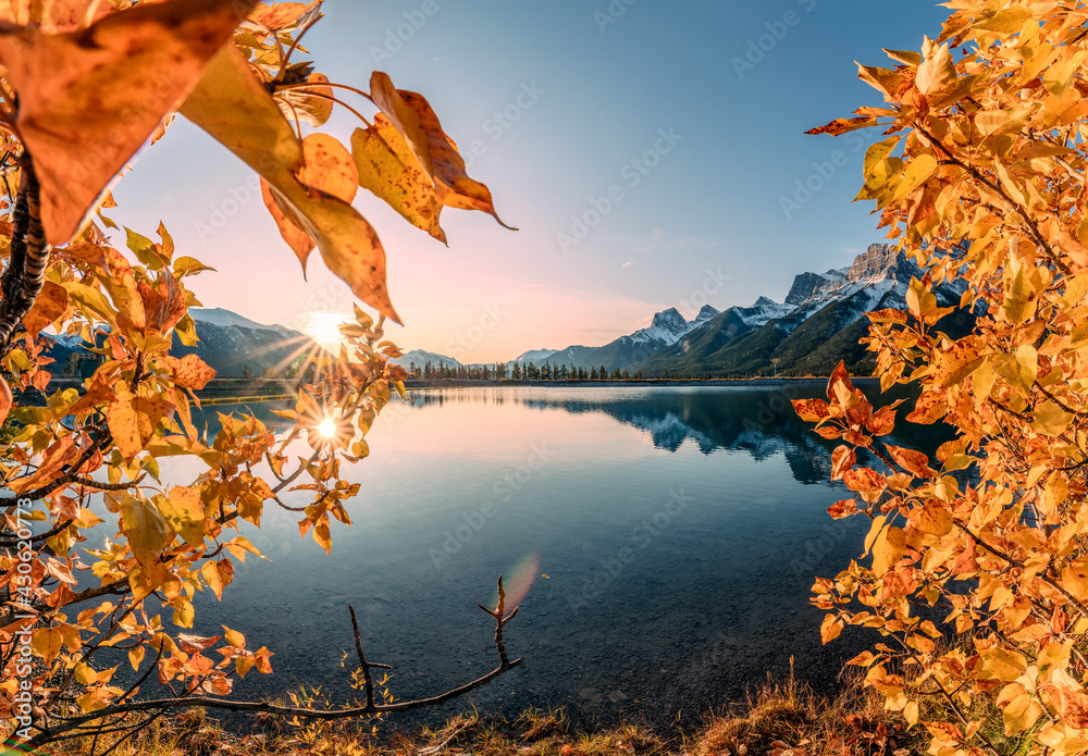 Sunrise on mountain range and golden leaves covered in Rundle Forebay