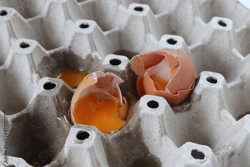 Broken eggs in a paper tray