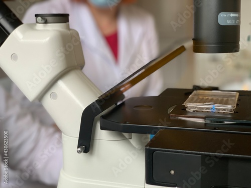 Laboratory inverted microscope with Terasaki plates. Laboratory analysis using a microscope. laboratory research. photo