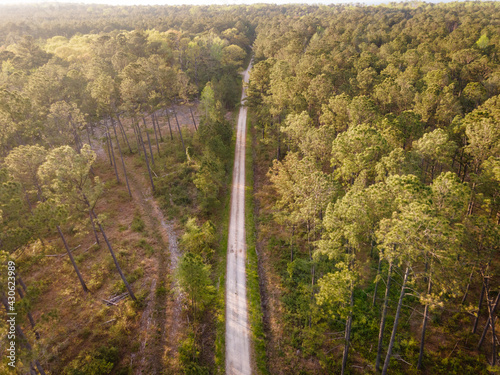 Drone View of Biking on a Gravel Road in Woods in Eastern North Carolina photo